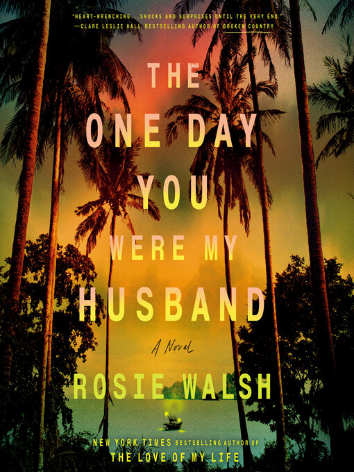 Cover image for The One Day You Were My Husband